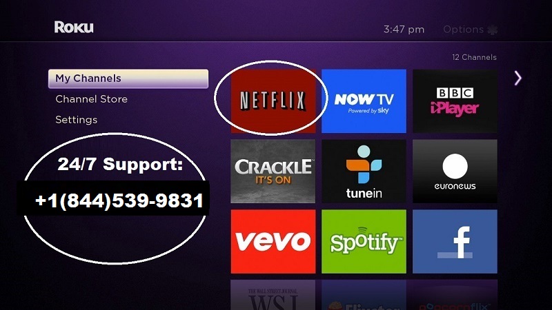 Unable to Watch Netflix on Roku