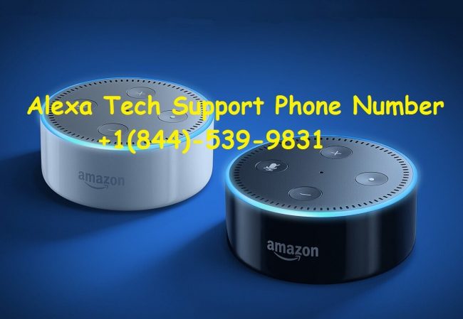Contact Echo Alexa Tech Support Number